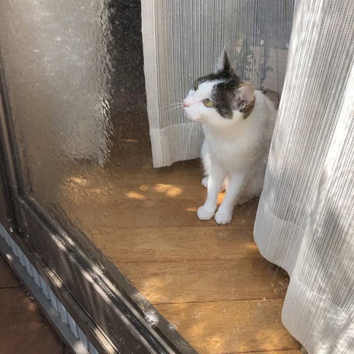 44fc9a27 6fc8 4370 a603 638ed73edade 1598247631361