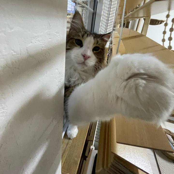 44fccf7b 9e33 41f9 aa82 ed01e7d5c1de 1667769380570