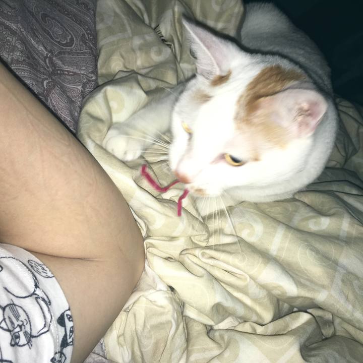 44fd01de d28f 4f54 a7e3 aa4a729f35d3 1530211648463