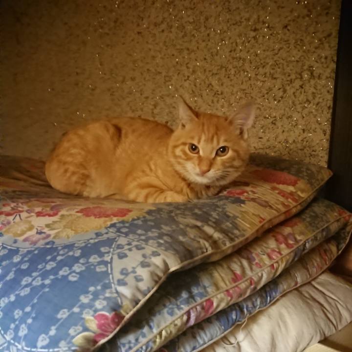 44fd43ef 2e97 4407 bdd1 4393798a8f13 1635423527929