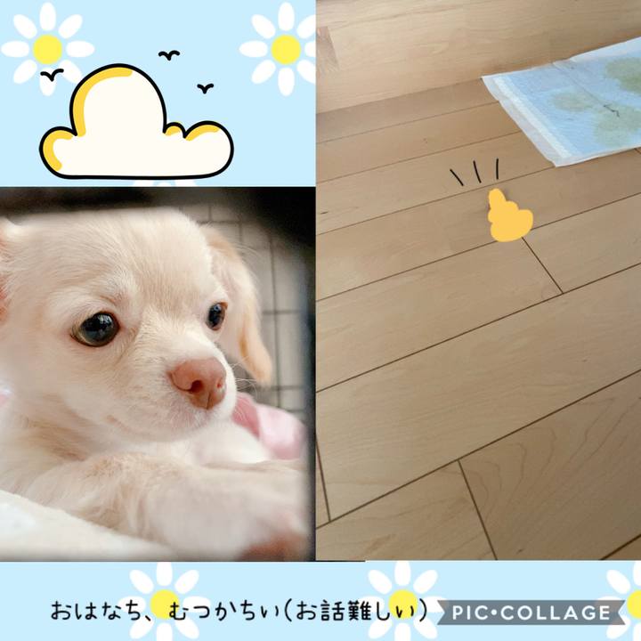 44fd44d0 6df1 48b8 a50f d47e202a0da3 1592372238439