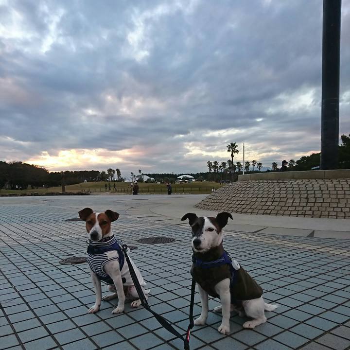 44fd672d dadd 4c24 aeb8 e1181fb966d9 1541231885376