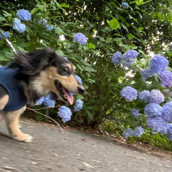 44fd804f e929 482f bab2 3d87a2bc6e44 1750658951226