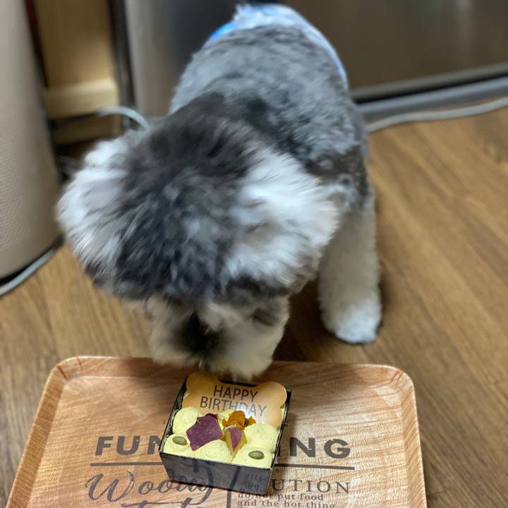 44fd81c7 5402 41f7 b957 c168806ccb03 1586698352124