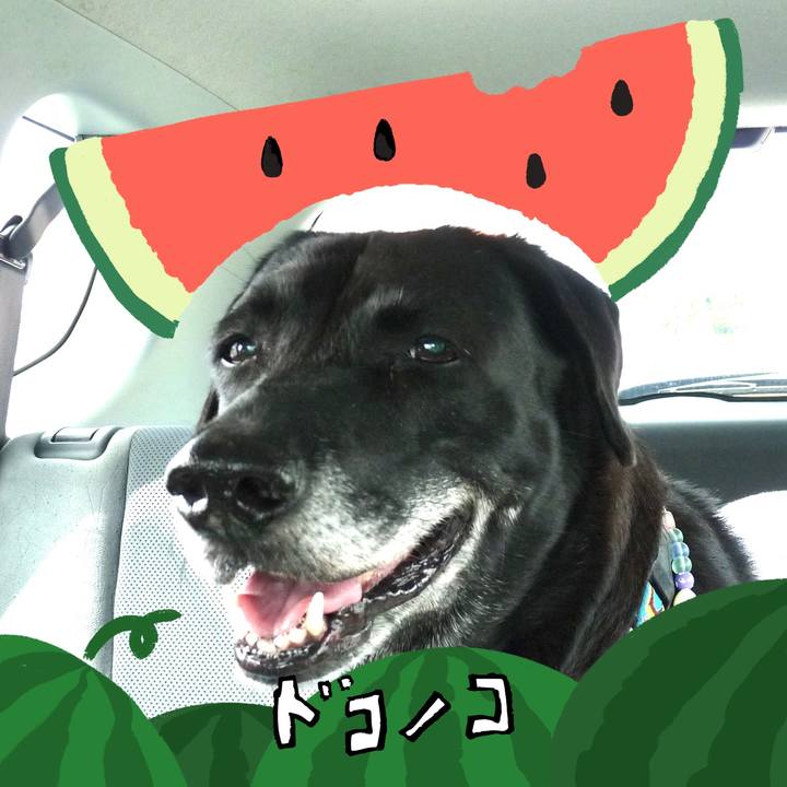 44fdb1b1 515b 4bed b74d 3552e2a57c10 1721017993040