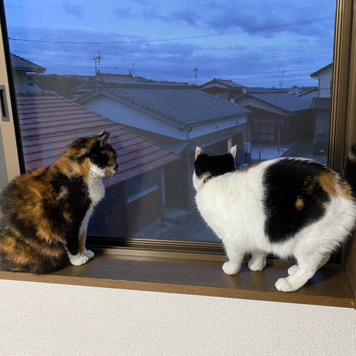 44fdd9a4 881b 46b2 89d6 ce78534bab5f 1647783135573