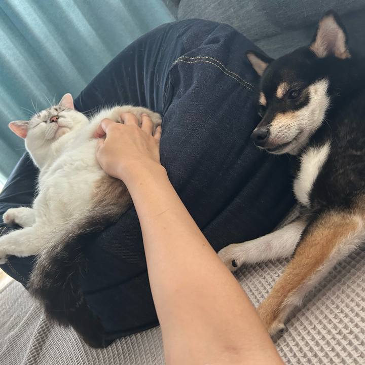 44fe23da b125 4c5a 9f2a 9eacdf78ff6a 1689403434840