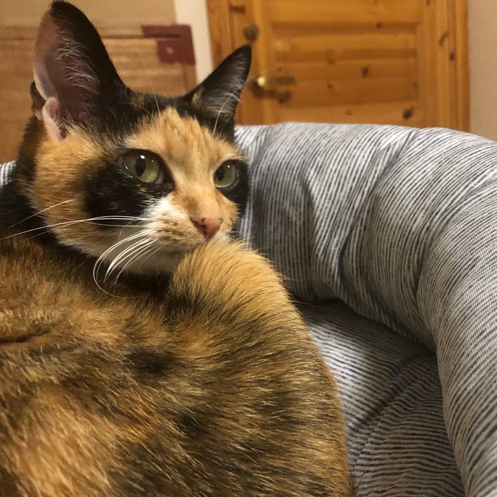 44fe2c9b 1705 4541 8715 f996da1d13a4 1571150475272