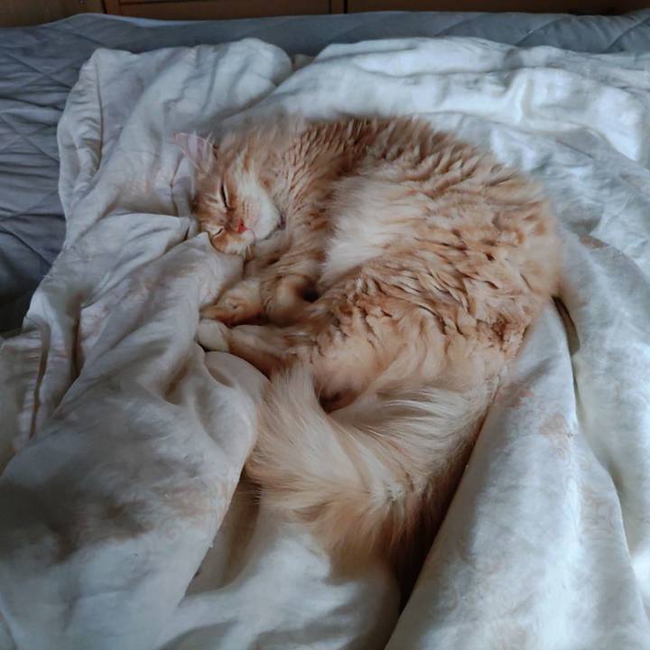 44fe2d48 1db8 4286 b31d be87d22ab4a1 1687383956605