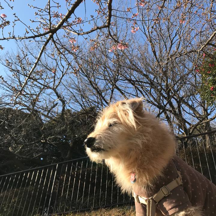 44fe360f 1fa3 4b21 b6f3 ba9d6458101e 1612605837246