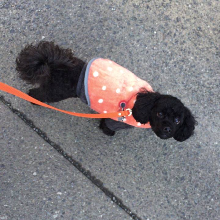 44fe537e 0ae7 46b9 9331 69903ff1521f 1516488917990