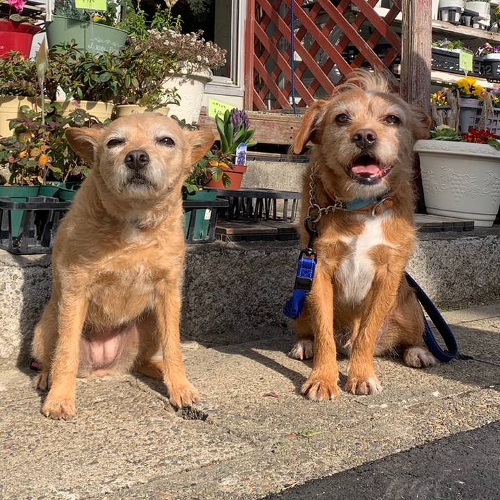 44fe8c66 6052 4242 a816 47242e5d7046 1676247360312