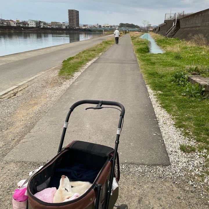 44fec03b dc7b 4c71 a9f5 673e66b96a42 1679314878863