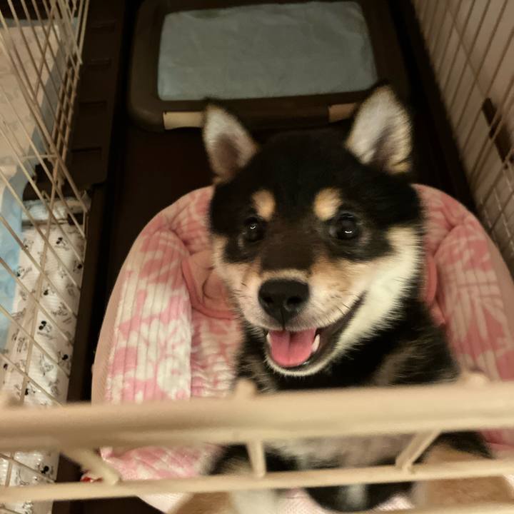 44ff0347 9ece 456f 843f 639d4cbcdf41 1775224962274