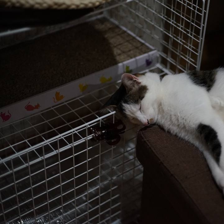 44ff03dd 6f58 4e6e b72f 83a9d10c673d 1525253282778