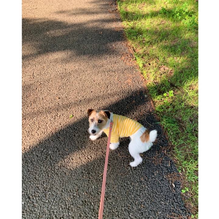 44ff6777 f497 4899 8680 5fbd172653e3 1590568906146