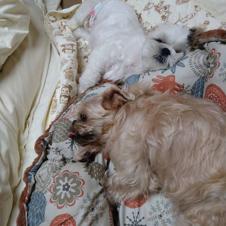 44ff96d0 b781 4078 b352 5b5066f280eb 1656173741750