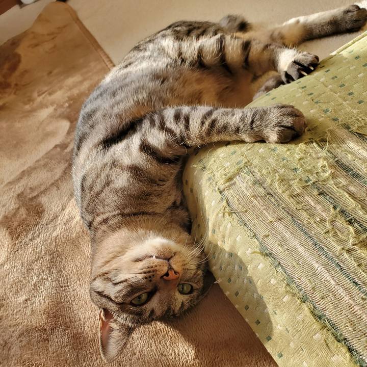 44ffa6b0 202c 42db 99b0 70723ac88886 1709292721732