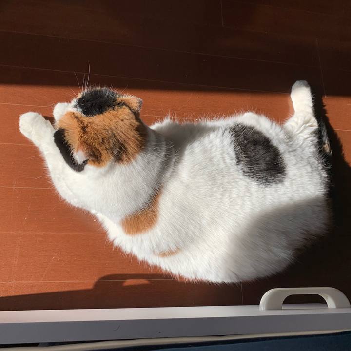 44ffc47f 3c78 4307 a007 adb924e7b708 1569627074772