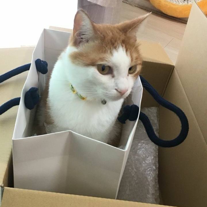 44ffe323 e62b 4f81 80ed 8de0c1264375 1538144171535