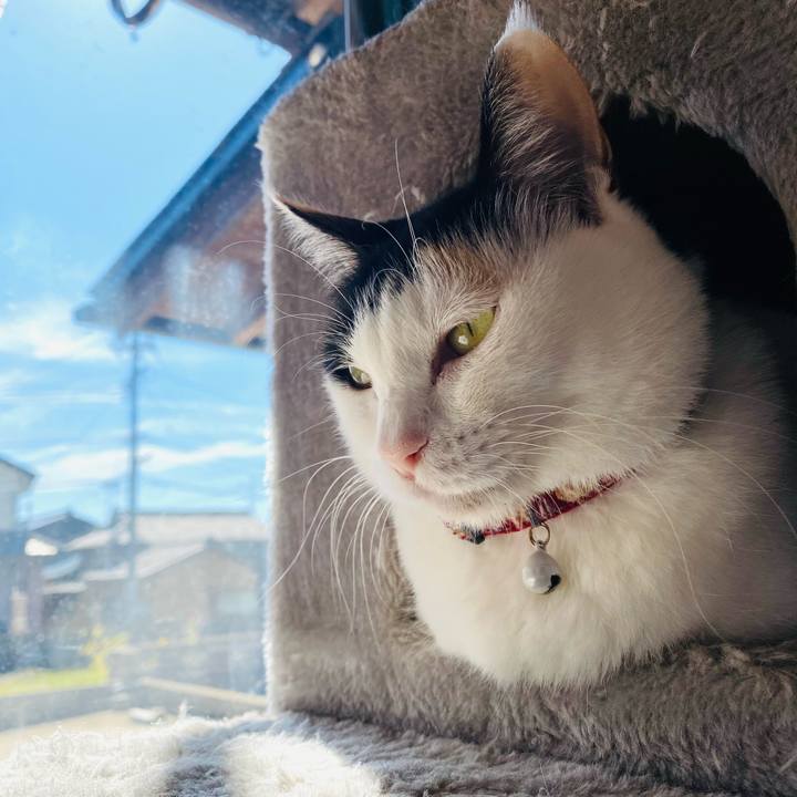 44fff039 d0fc 4cc6 81ce 8d4093d21799 1666775417416