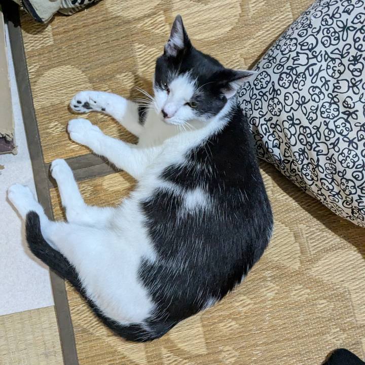 44fff183 3ba5 4bd9 9e48 386e85159be2 1752682045226