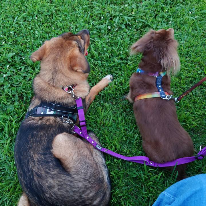 450014d3 f0a6 473e a612 f914b5134c06 1689595425916