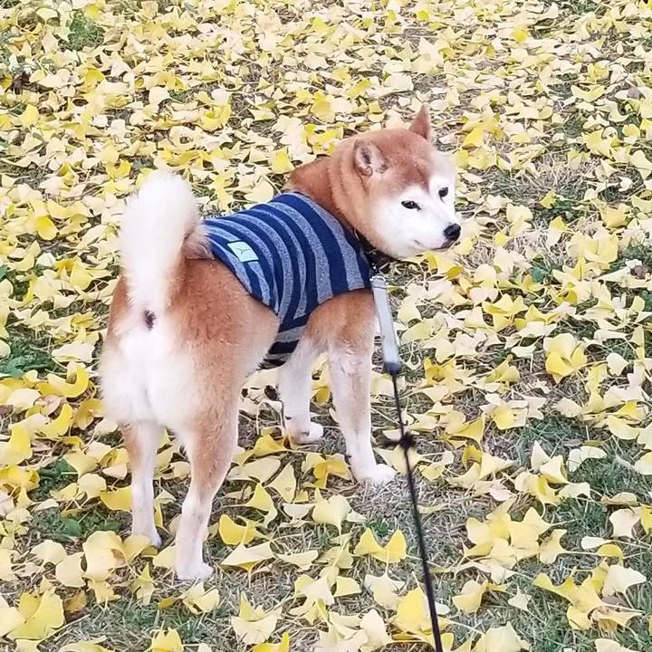 45003ed0 5698 4cd0 97fe be75c1859dca 1693543456687