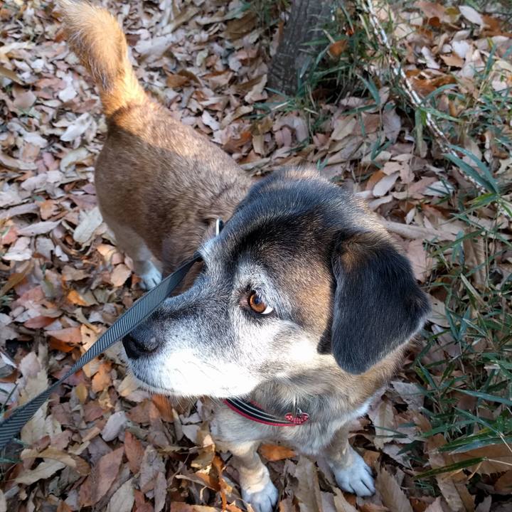 4500cd24 fff5 4a3c 89d2 b78389841773 1513906608091