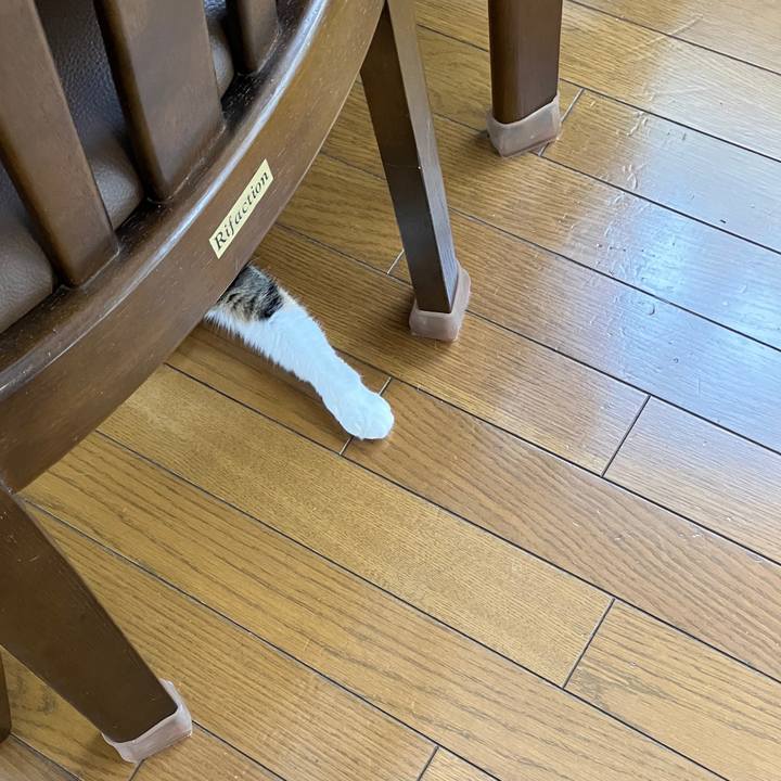 45011381 8f44 49fa ae9d 84b7d71b4c90 1766889676307