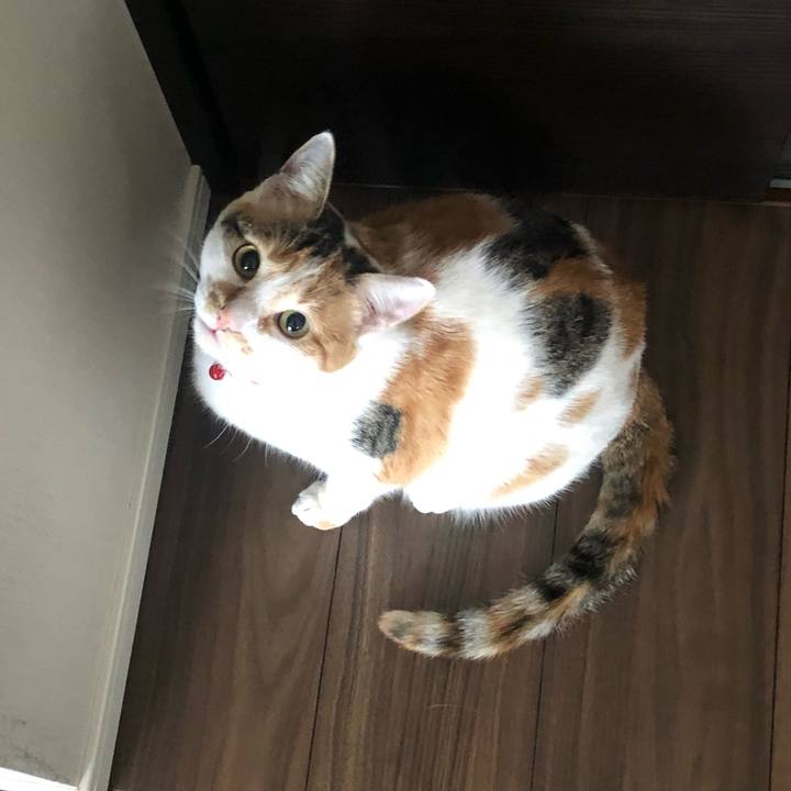 450114b0 159f 45a9 a636 5386dbf3f3b3 1583192032672