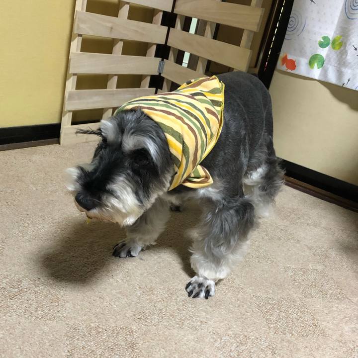 450124b9 1b24 4f23 8ca0 ac13cc7adcf8 1632008958416