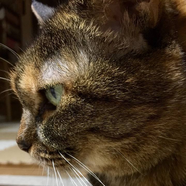 45015aad b277 457f ac91 c1ba799622e9 1549950879971