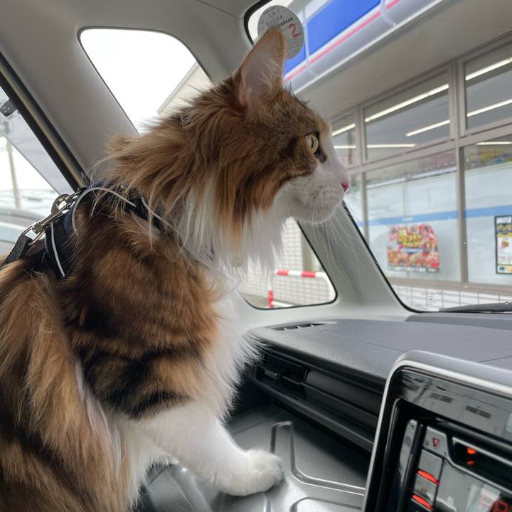 450173c4 9d91 4e7e bbbf ecf7e58ff858 1677123301012