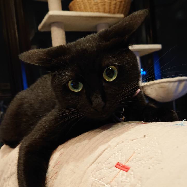 45017ab1 ac99 43bb 9ca3 fbc2099dac9e 1569549567985