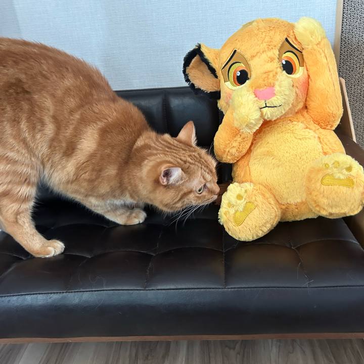 4501805e 8ade 4b0c b852 4a9d837c70f2 1755826446338