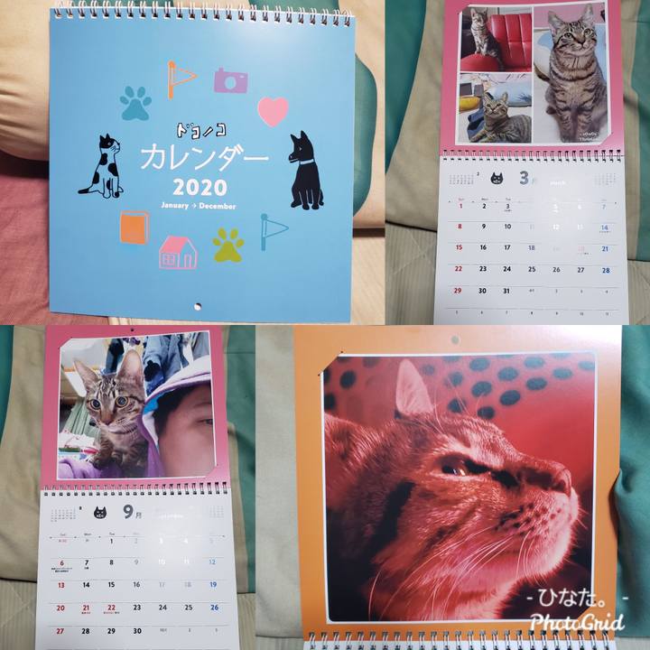 45018b49 dcd9 4073 9902 22da33f1580e 1575106155066