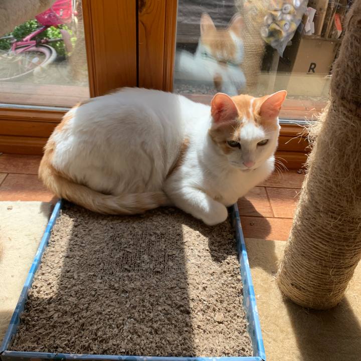 4501986c 862d 43e3 ad1c 0e96bafb89c8 1586054352535