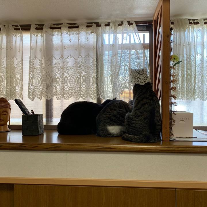 45019e25 f4ea 47a0 9fed 430e031dd1f5 1558423296516