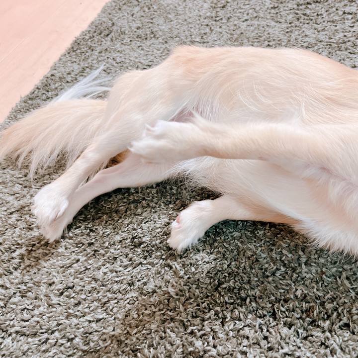 4501a1a0 adf5 4fc7 b106 39e1afb31eb4 1654590209881