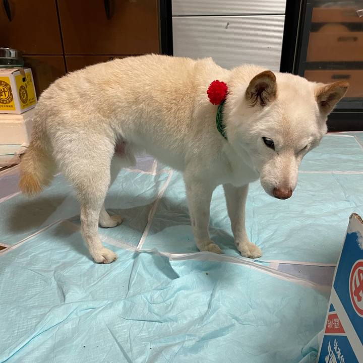 4501ca3d d4ed 47d5 a642 983e2a09c41c 1639390664938