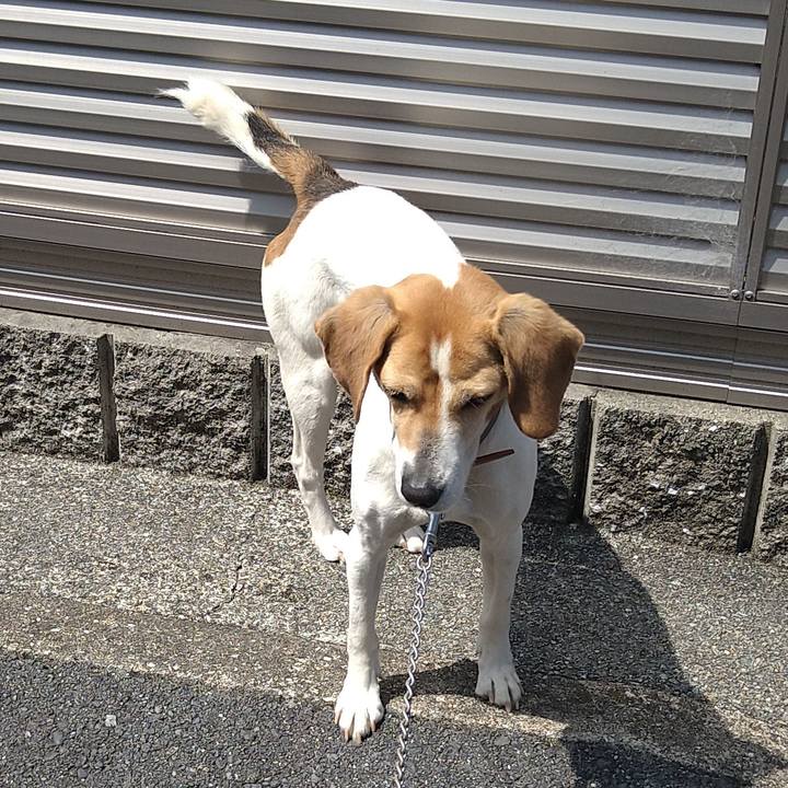 450204c0 9be6 46b4 a0af 599b61d01339 1650863201369