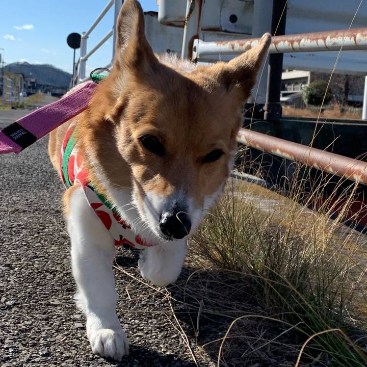 450220ce dfb8 4ab0 9efe a61c266be062 1705120610267