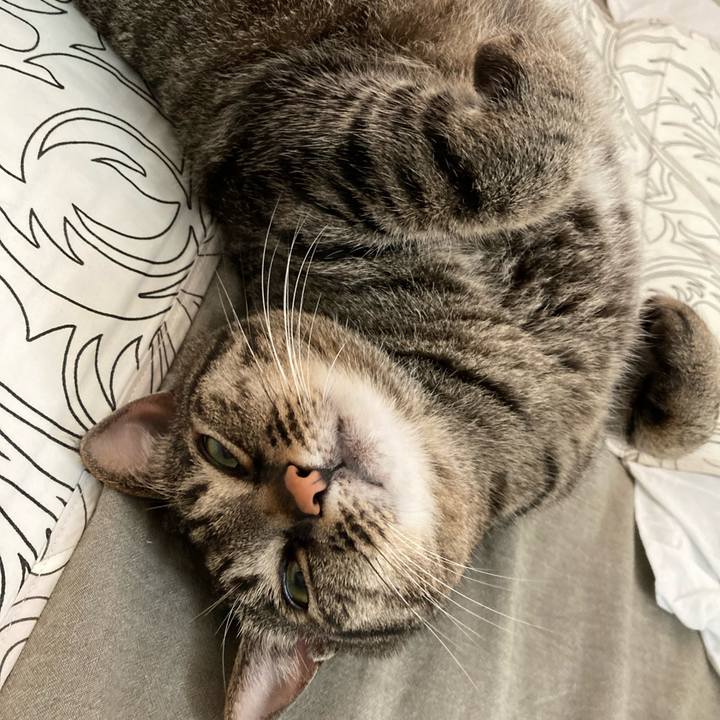 4502598e 53a2 46e6 aaa6 d7945e4edd69 1652485623448