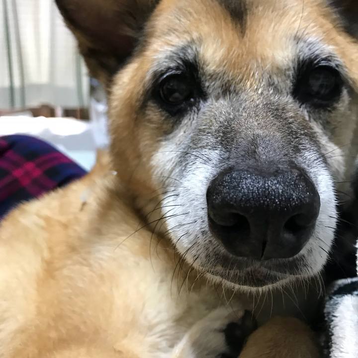 4502663f 6cfc 40c2 b023 03d364855215 1538177948158