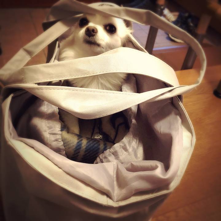 4502a7b3 8612 4ace a595 739c4b52c2f3 1604789360741