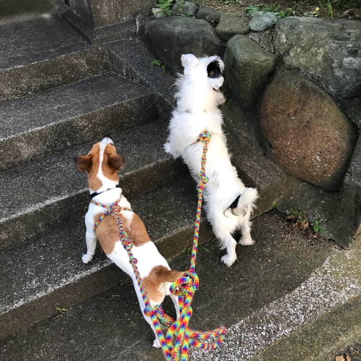 4502ab5f 9b78 4269 9e9c 616702e59cf4 1535584628641