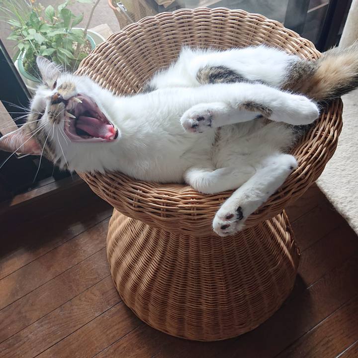 4502cb4d 2851 4896 a982 f0dc9aec659e 1632904243512