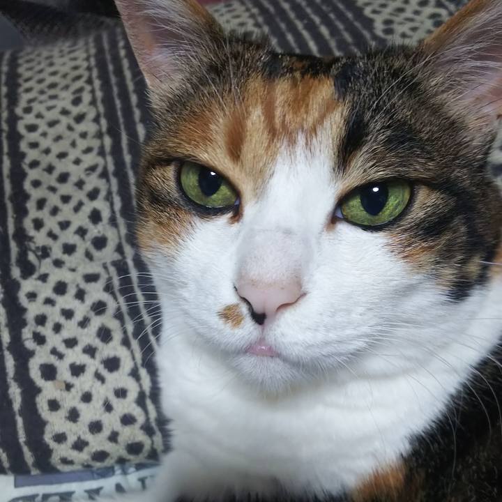 4502e1ec e3fe 4e36 8fdc d47ee8b7ccf8 1565871472713