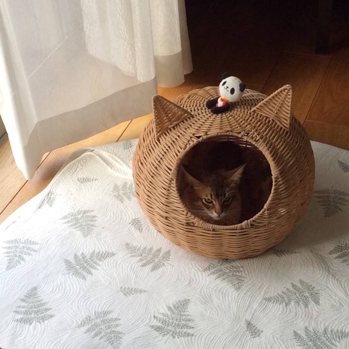 4502e4e0 f798 457a 834a e0282bb09b48 1583202716128